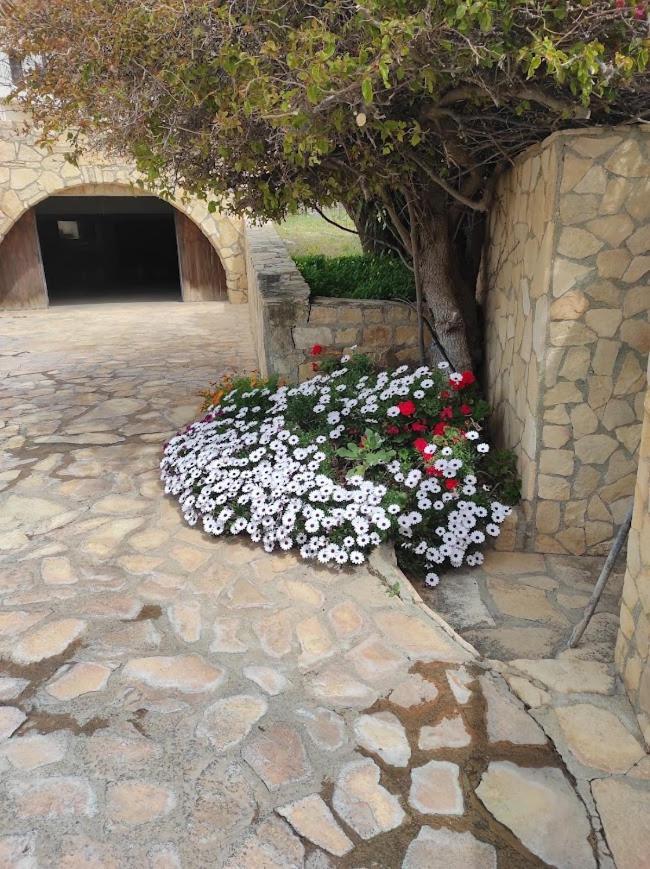Island Villa Agia Galini  Exterior photo